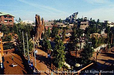 Redwood Creek Challenge Trail